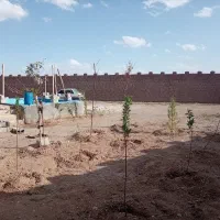باغ-1200متری