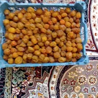 سلام‌الو‌افتابی‌درجه‌یک‌ از کوه‌های‌هزارمسجد|خوردنی و آشامیدنی|مشهد, امیرآباد|دیوار