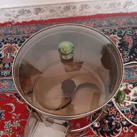 سبزی خرد کن|سایر لوازم برقی|پرند, فاز ۶|دیوار