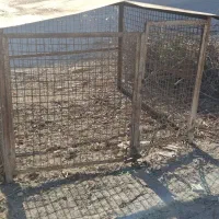 فروش قفس بزرگ|لوازم جانبی حیوانات|کازرون, |دیوار