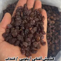 کشمش /مویز /شیره انگور|خوردنی و آشامیدنی|تهران, مولوی|دیوار