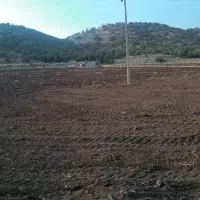 زمین کشاورزی