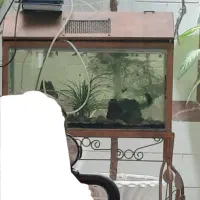 فروش آکواریوم کامل