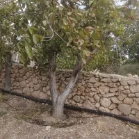 استخدام کارشناس کشاورزی