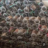 موتور کولر خراب وسوخته