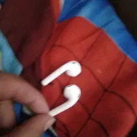 تعدادی گوش ارپاد و جعبه