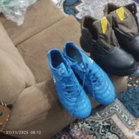 یک جفت کشوری ورزشی یک جفت کفش کار|کیف، کفش، کمربند|باغ ملک, |دیوار