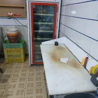 مرغ فروشی یخچال مرغ