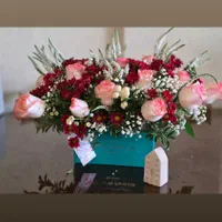 گل خاص برای مناسبت های خاص|گل و گیاه طبیعی|اصفهان, پروین|دیوار