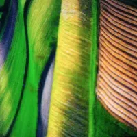 زمین کشاورزی