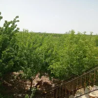 فروش باغ ویلا