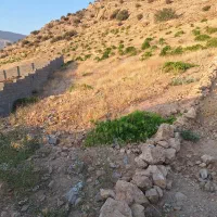 ۳۰۰متر زمین تفکیک شده مناسب انبار و کارگاه|فروش زمین و ملک کلنگی|شیراز, پایانه مسافربری سعدی|دیوار