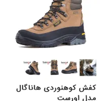 کفش کوهنوردی ویبرام|کیف، کفش، کمربند|شیراز, سهل‌آباد|دیوار