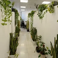 جذب نیروی اداری خانم در محدوده شرق تهران