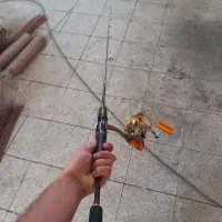 لنسر اسپین|ماهیگیری|سهند, |دیوار