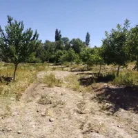 فروش ومعاوضه زمین وباغ درروستای قلعه عسکر|فروش زمین و ملک کلنگی|بافت, |دیوار