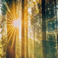 مشاور تحصیلی