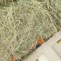 یونجه درجه یک