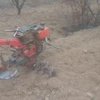 شخم باقات  حرص و خرید چوب درخت. سم پاشی|خدمات باغبانی و درختکاری|محمدیه-قزوین, |دیوار