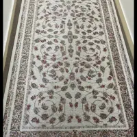 قالی دوازده متری|فرش|اهواز, کوی باهنر|دیوار