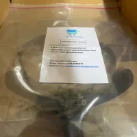 تولید کننده لوازم مصرفی دندانپزشکی