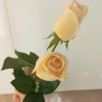 گل رز|گل مصنوعی|تهران, جنت‌آباد جنوبی|دیوار