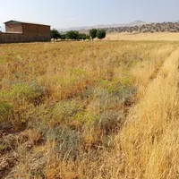 زمین کشاورزی اتوبان اصلی|کلکسیون سکه، تمبر، اسکناس|خرم‌آباد, |دیوار