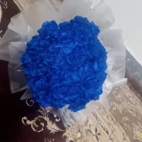 گل  ربانی  ابی شاین دا|گل مصنوعی|بندرعباس, |دیوار