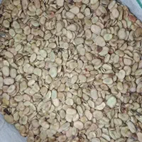 باقله تیمی