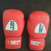 دستکش بوکس مدل گرین هیل حرفه ای|تجهیزات ورزشی|موچش, |دیوار
