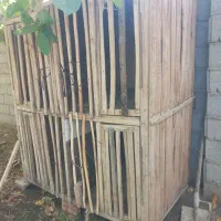 قفس خروس لاری