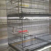 هشت خان غلامی|لوازم جانبی حیوانات|شاهدشهر, |دیوار