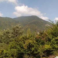 زمین ییلاقی