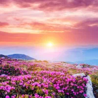 مشاوره و برنامه ریزی تضمینی کنکور