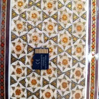 مموری کارت  ۲۵۶