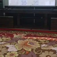 تلویزیون ال ای دی الجی