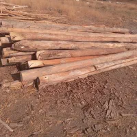 خرید چوب سقفی