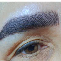 انجام خدمات تخصصی میکروپیگمنتیشن و فیبروز|خدمات آرایشگری و زیبایی|اصفهان, برازنده|دیوار