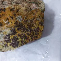 سنگ شجرطلایی|زیورآلات و اکسسوری|نیشابور, شهرک اندیشه|دیوار