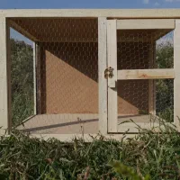 گنجه کبوتر وتوردستی