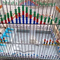 دوعدد قفس.|لوازم جانبی حیوانات|تهران, افسریه شمالی|دیوار