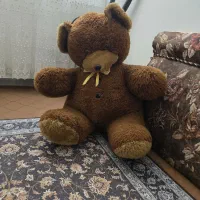 خرس بزرگ