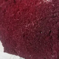 مرجان دریایی لوله ای|کلکسیون و سرگرمی|زاهدان, |دیوار