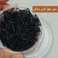 پک وسایل شینیون+دو دستگاه مو|آرایشی، بهداشتی، درمانی|اهواز, اسلام آباد غربی|دیوار