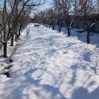 باغ-شهر-760-متری-درختان-مثمر10-ساله-بلوار-توس-141