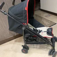 کالسکه میدین ایتالیا