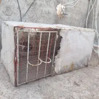قفس مرغ و کفتر و...