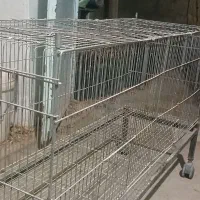 انواع قفس|لوازم جانبی حیوانات|بوئین زهرا, |دیوار