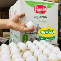 تخم مرغ های درشت قیمت عالی از پخش ژیان پور
