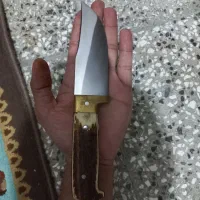 چاقو کلکسیونی|کوهنوردی و کمپینگ|آزادشهر, |دیوار